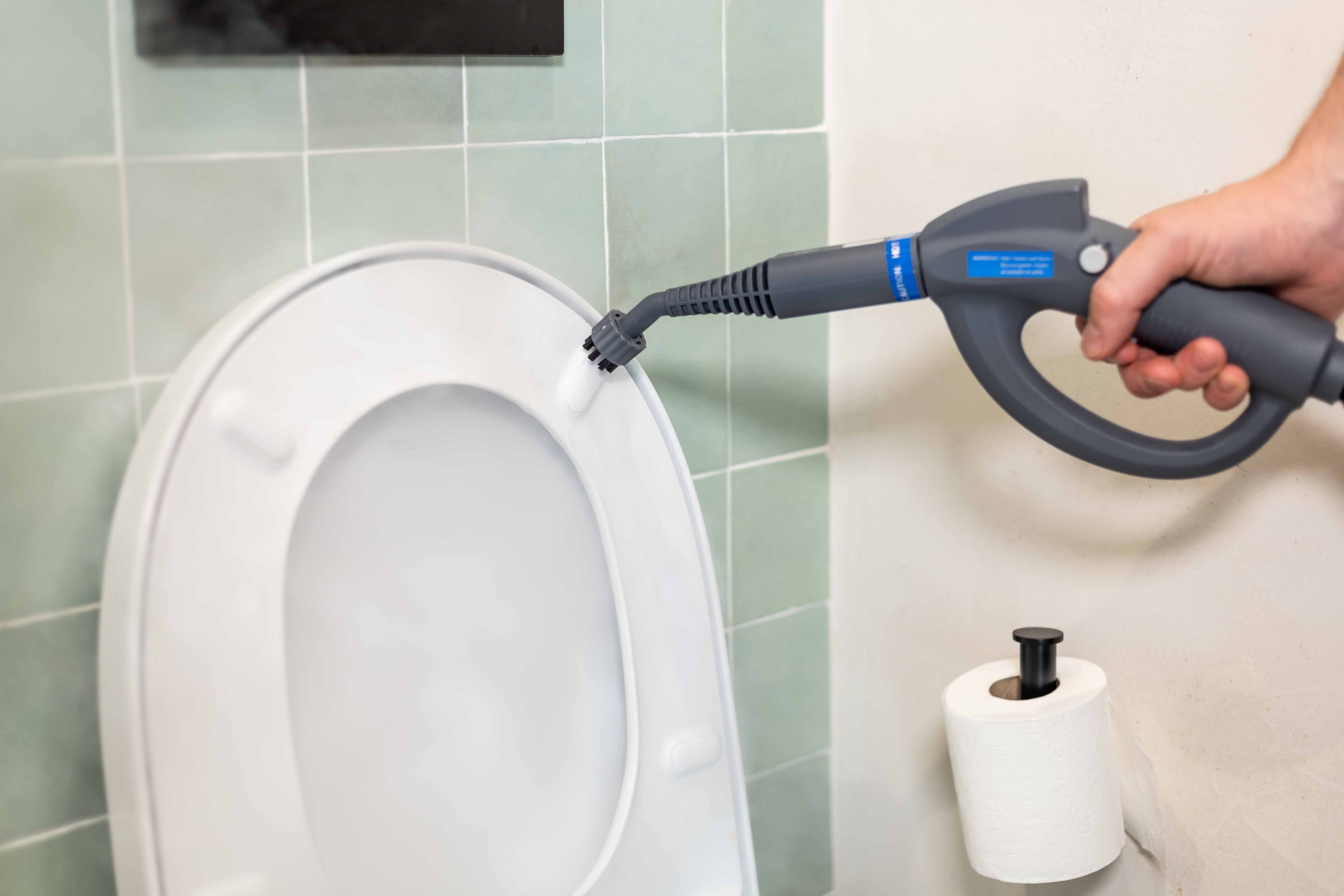 Extra set med 7 borstar NV286 Steam Cleaner